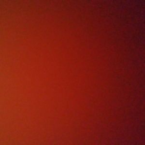 Meet your Posher, Jes